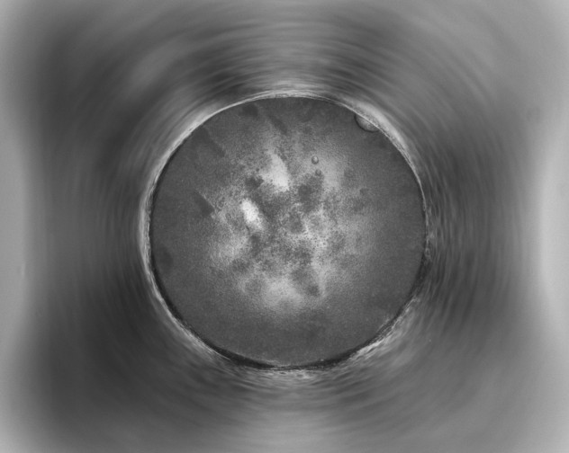 X0000096451243200801241412