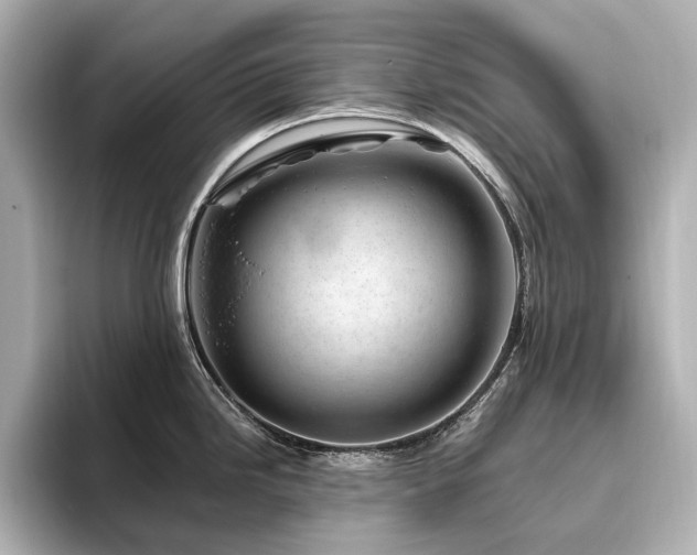 X0000096451246200801241412