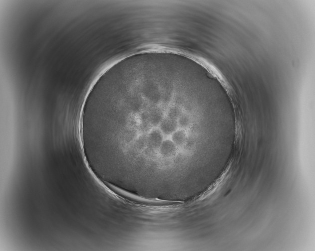 X0000096451247200801241412