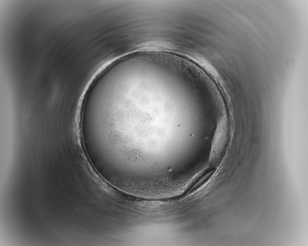 X0000096451248200801241412