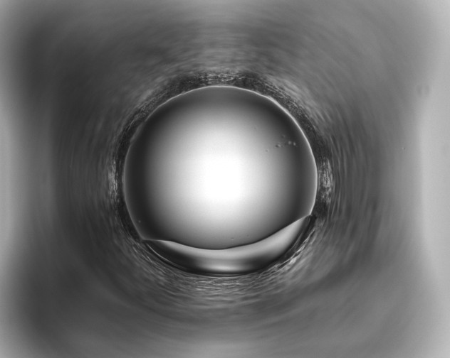 X0000096451252200801241411