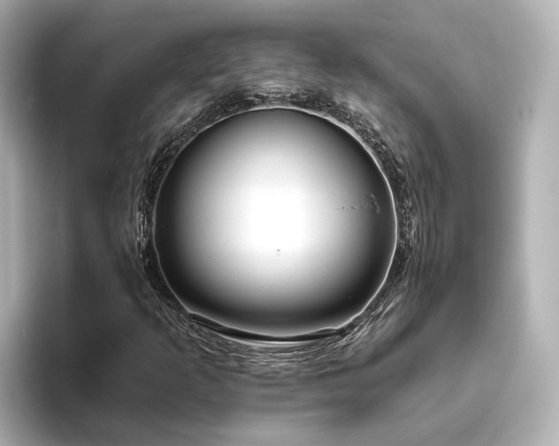 X0000096451253200801241411