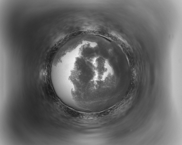 X0000096451254200801241411