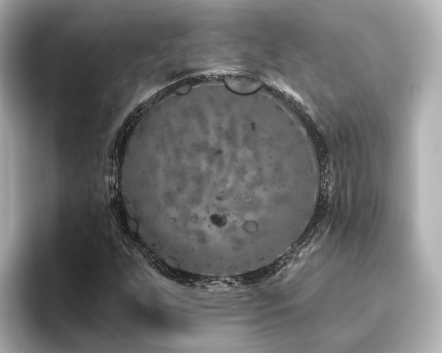 X0000096451255200801241411