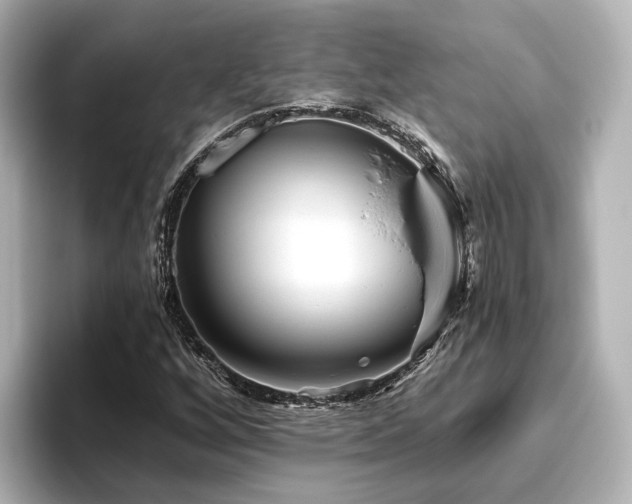 X0000096451256200801241411
