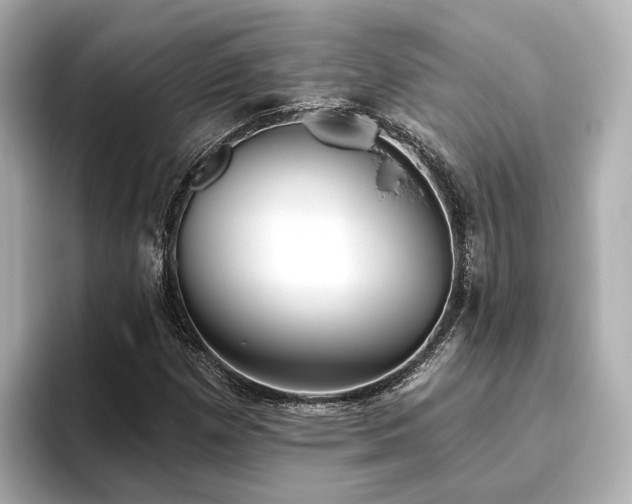 X0000096451257200801241411