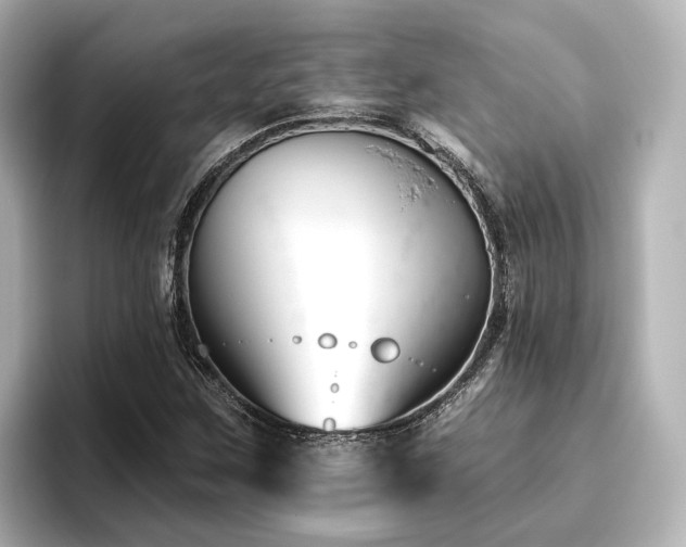 X0000096451259200801241411