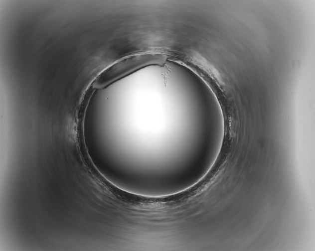 X0000096451260200801241411