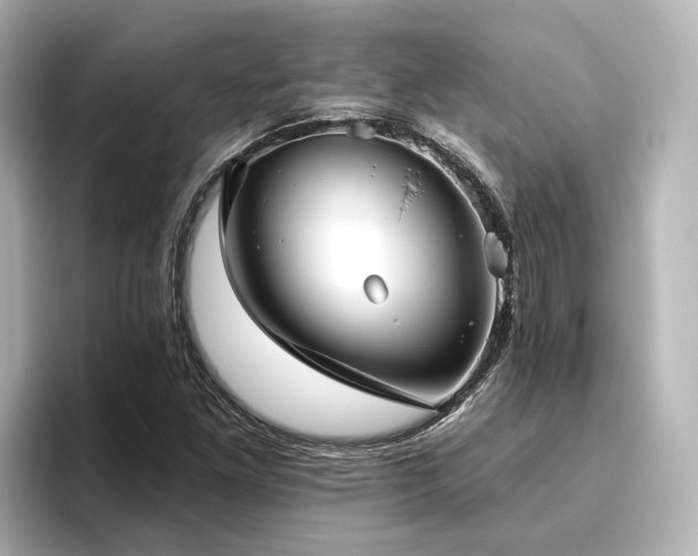 X0000096451261200801241411