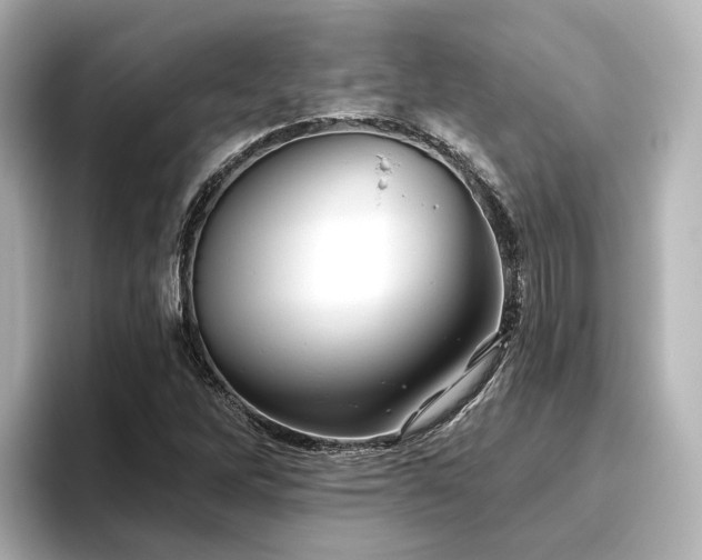 X0000096451262200801241411