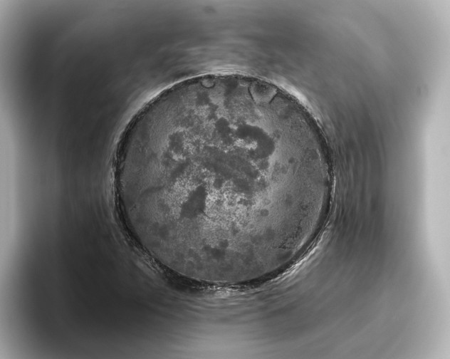 X0000096451263200801241411