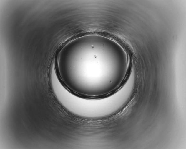 X0000096451265200801241411