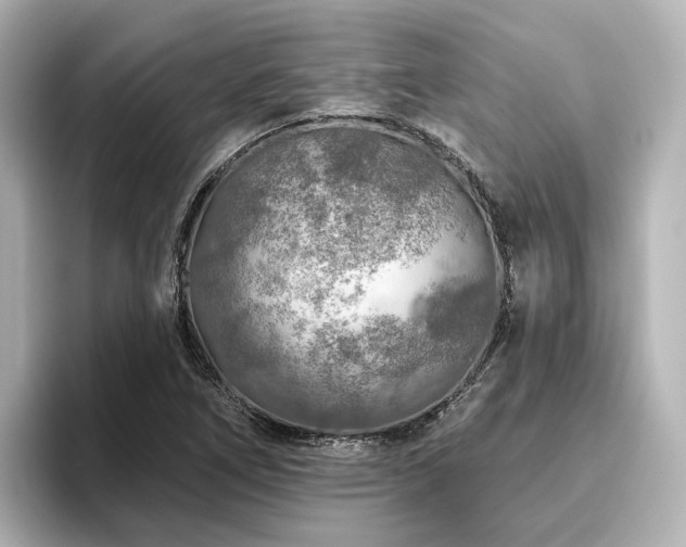 X0000096451266200801241411