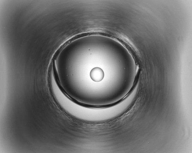 X0000096451268200801241411