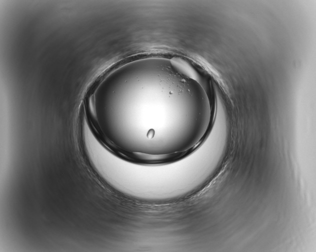 X0000096451269200801241411