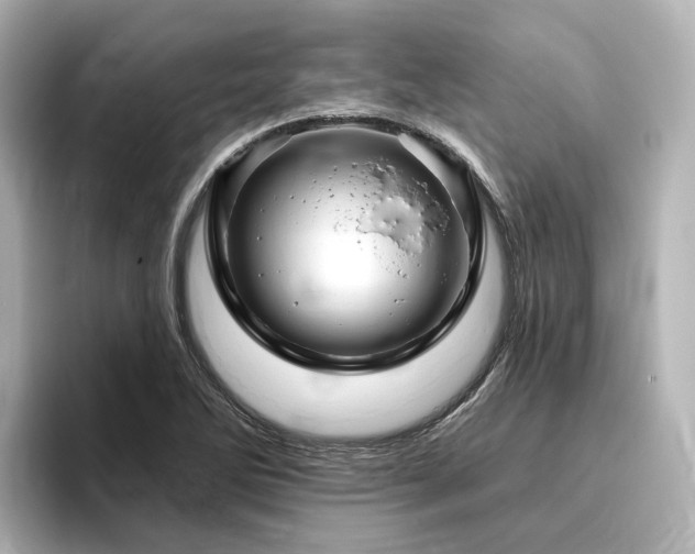 X0000096451270200801241411
