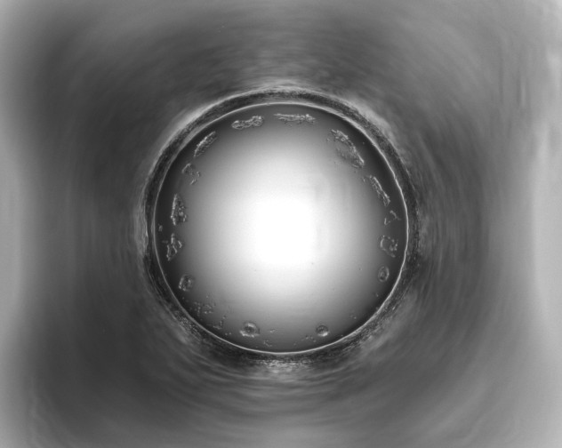 X0000096451271200801241411