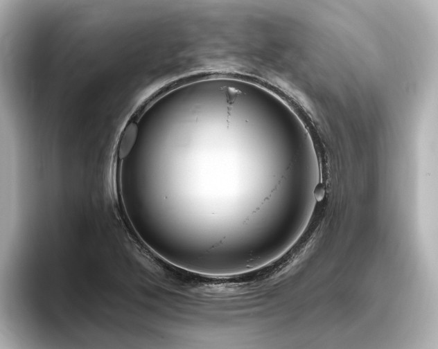 X0000096451272200801241411