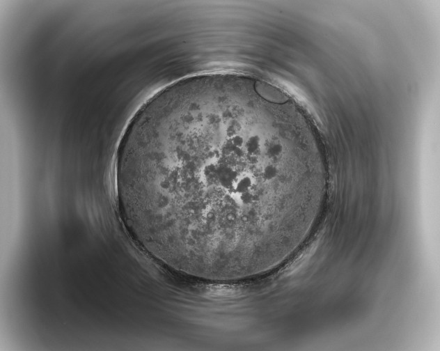 X0000096451275200801241411