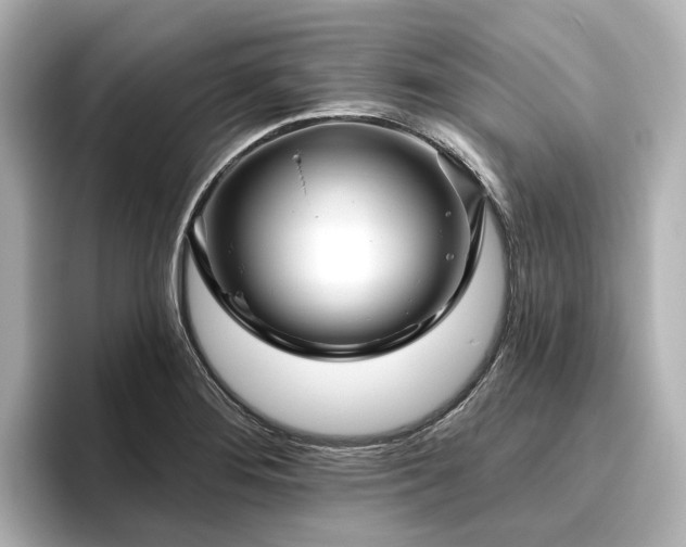 X0000096451276200801241411