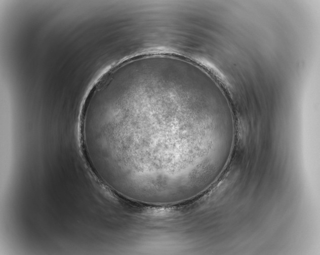 X0000096451278200801241411