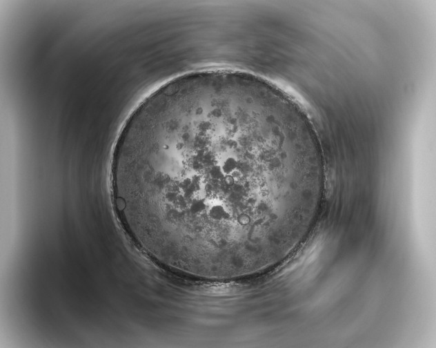 X0000096451279200801241411