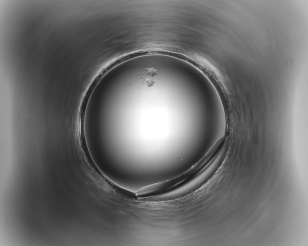 X0000096451280200801241411