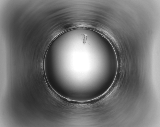 X0000096451281200801241411