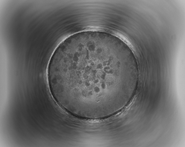 X0000096451283200801241411