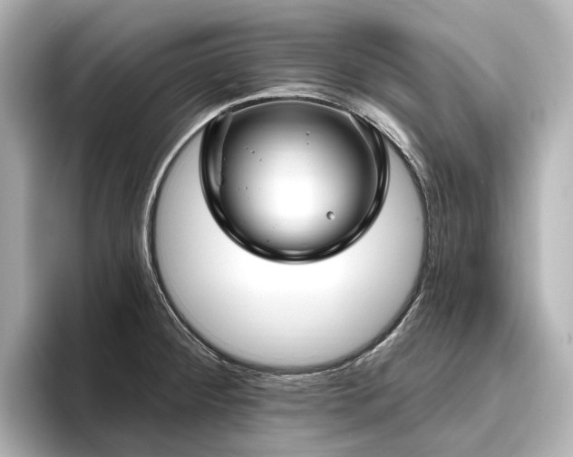 X0000096451284200801241411
