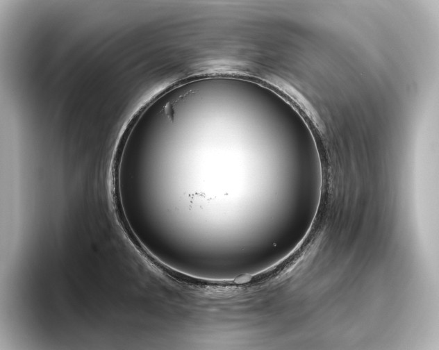 X0000096451285200801241411