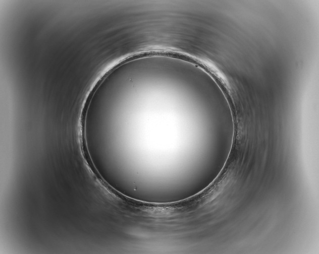 X0000096451287200801241411