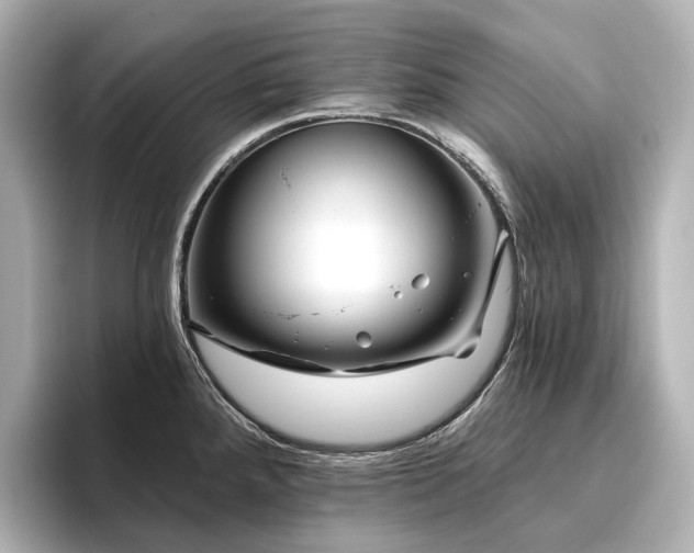 X0000096451288200801241411