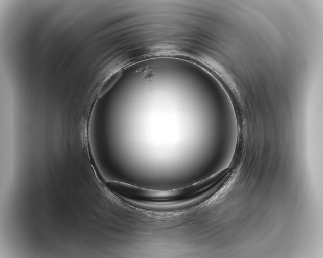X0000096451289200801241411
