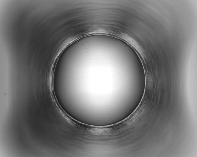 X0000096451290200801241411