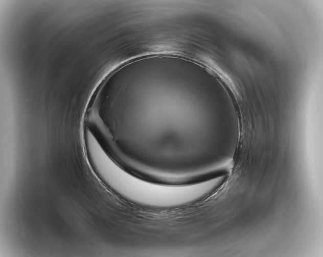 X0000096451291200801241411