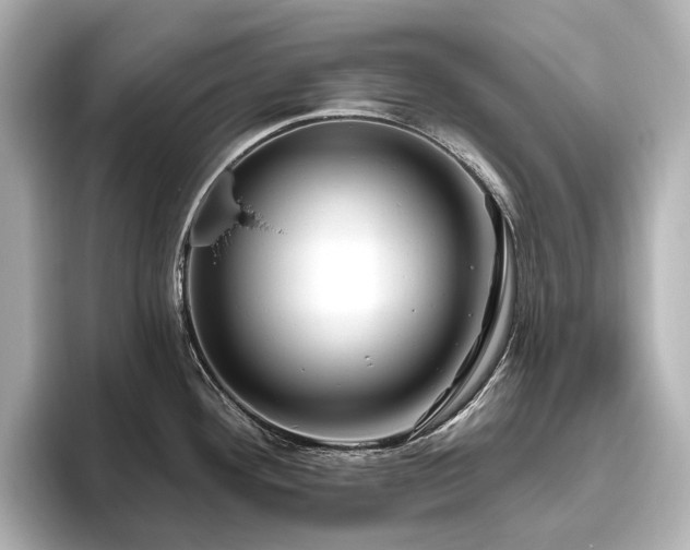 X0000096451292200801241411