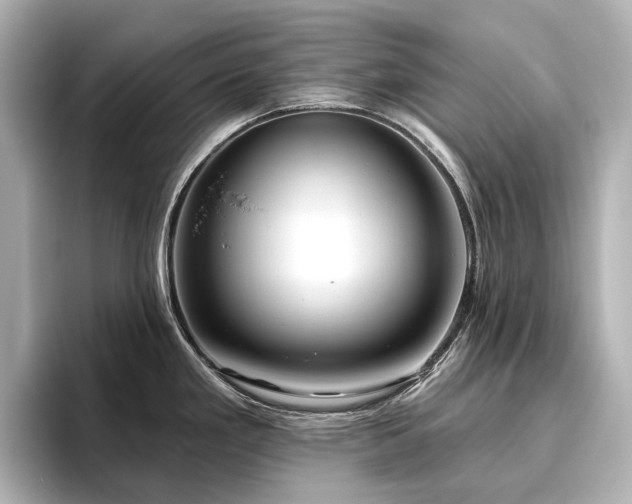 X0000096451293200801241411