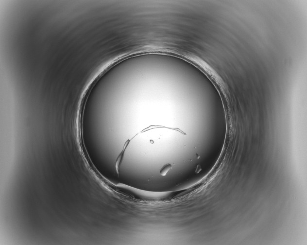 X0000096451294200801241411