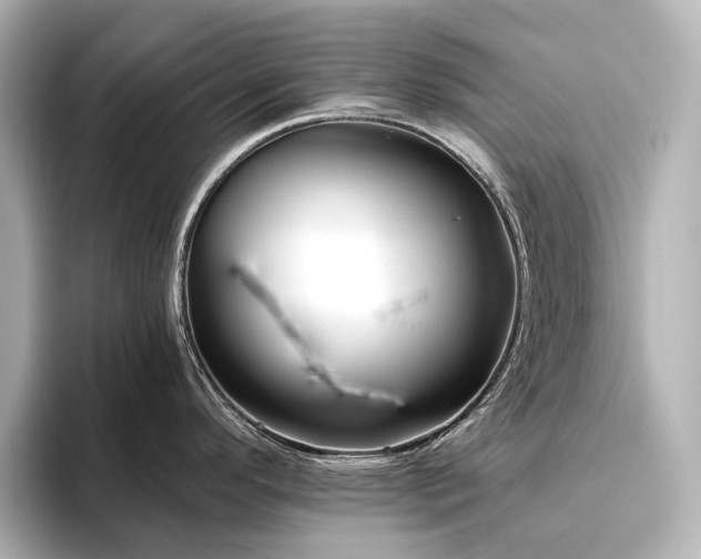 X0000096451296200801241411