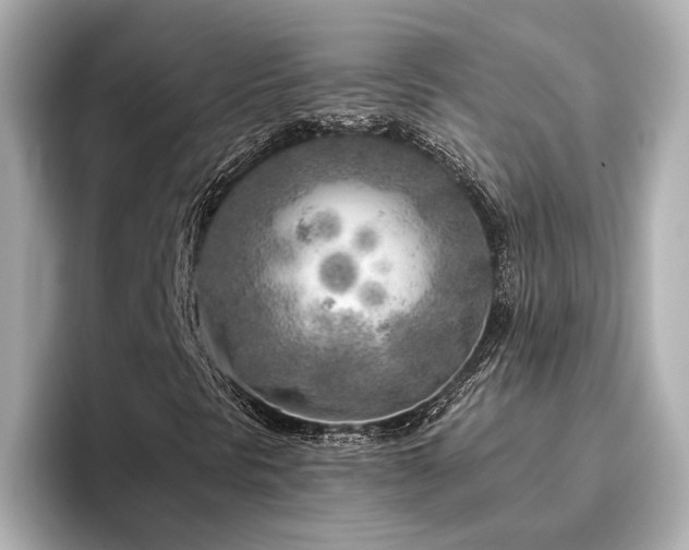 X0000096451297200801241410