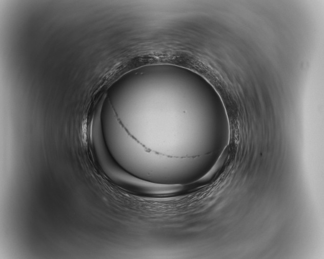 X0000096451298200801241410