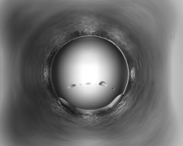 X0000096451299200801241410