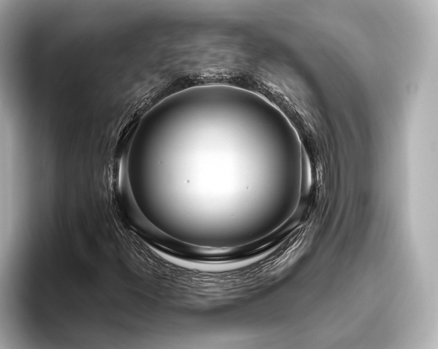 X0000096451300200801241410