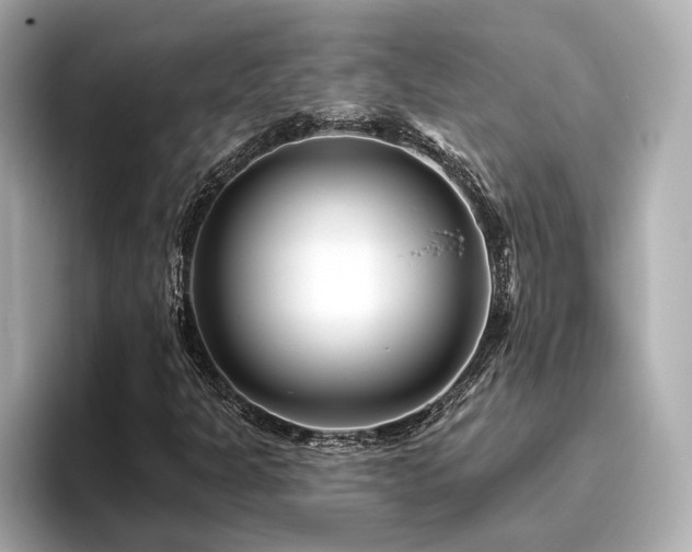 X0000096451301200801241410