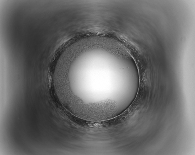 X0000096451302200801241410