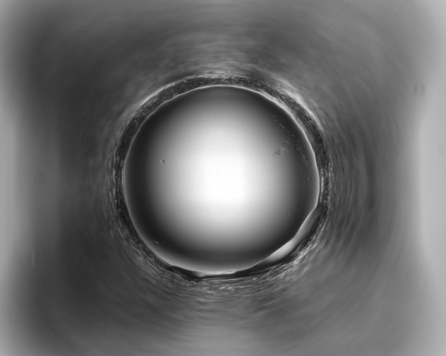 X0000096451304200801241410