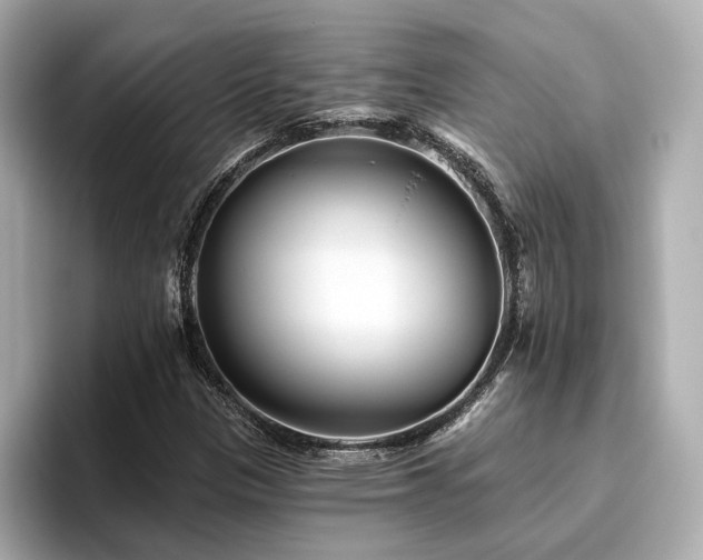 X0000096451305200801241410