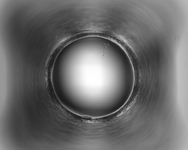 X0000096451307200801241410