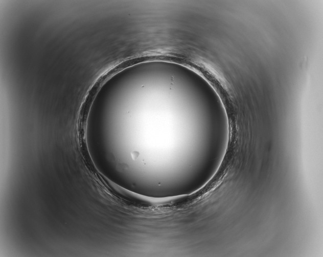 X0000096451308200801241410
